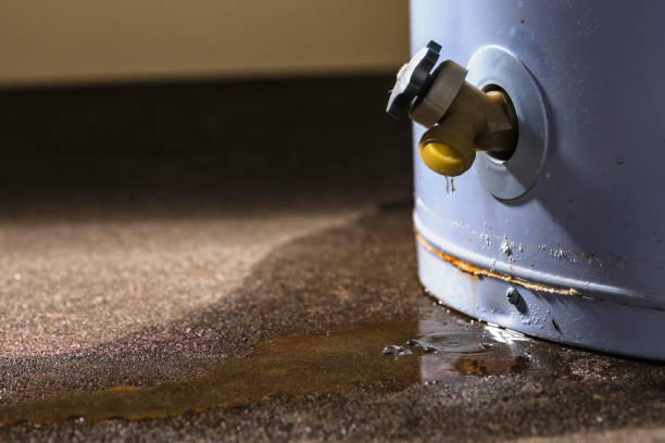 Best Water damage restoration near me  in Rolling Meadows, IL
