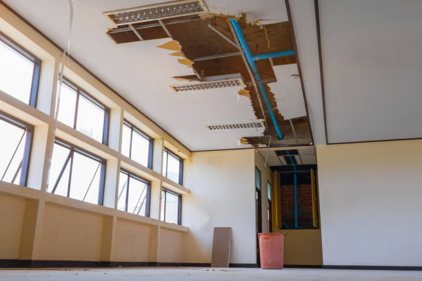 Best Residential water damage restoration  in Rolling Meadows, IL