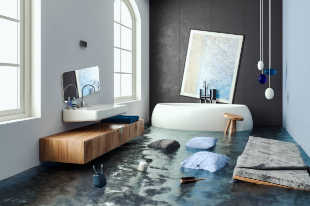 Best Water damage restoration process  in Rolling Meadows, IL