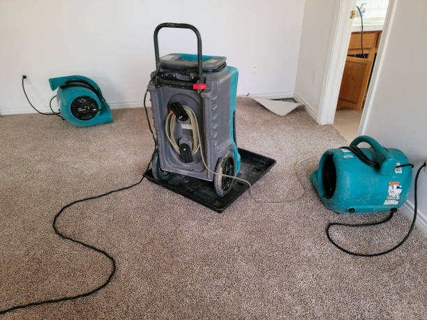 Best Water damage restoration near me  in Rolling Meadows, IL