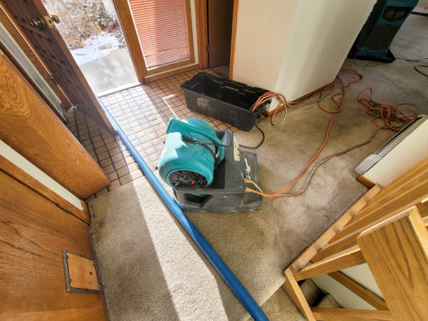 Best Ceiling water damage repair  in Rolling Meadows, IL