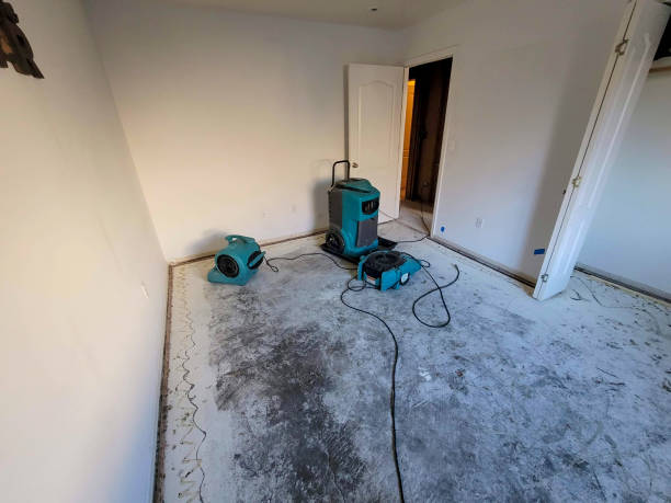 Best Fire Damage Restoration  in Rolling Meadows, IL