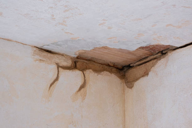 Best Flood restoration services  in Rolling Meadows, IL
