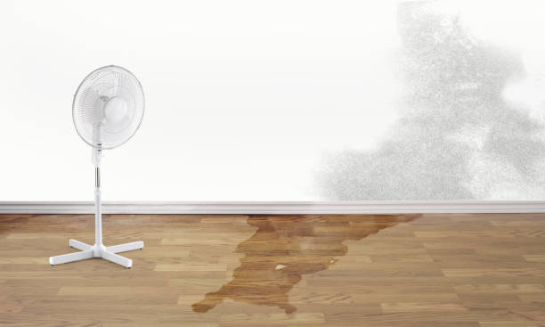 Best Flooded house restoration  in Rolling Meadows, IL