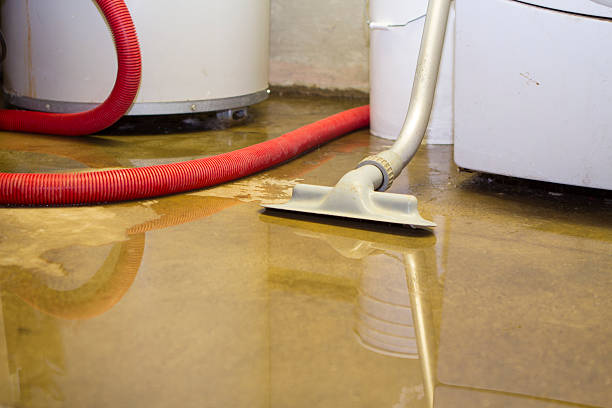 Best Water damage restoration near me  in Rolling Meadows, IL