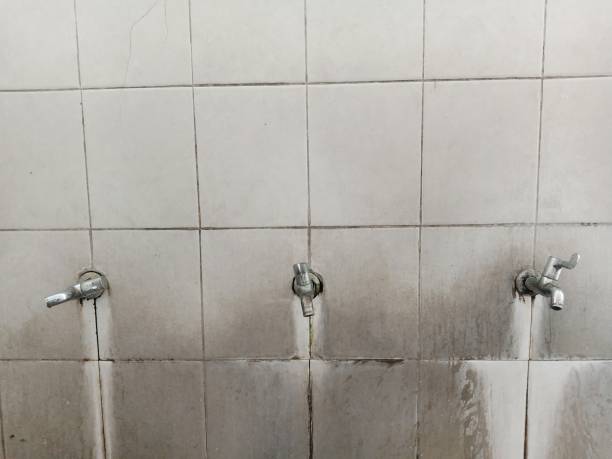 Best Professional water damage repair  in Rolling Meadows, IL