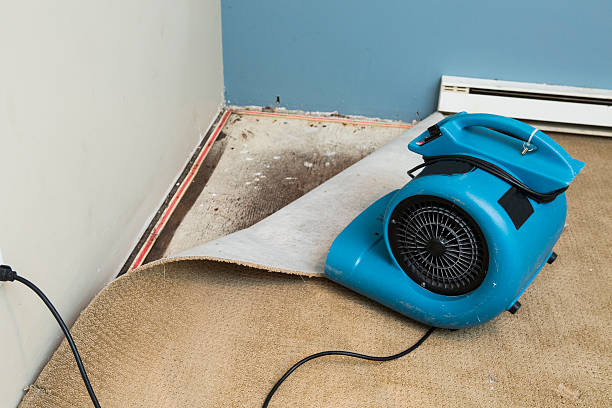  Rolling Meadows, IL Water damage restoration Pros